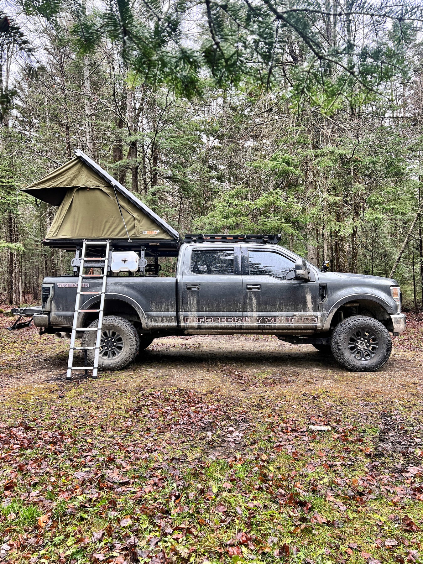 Guided Trips